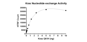 Kras Q61H Nucleotide Exchange Assay Kit